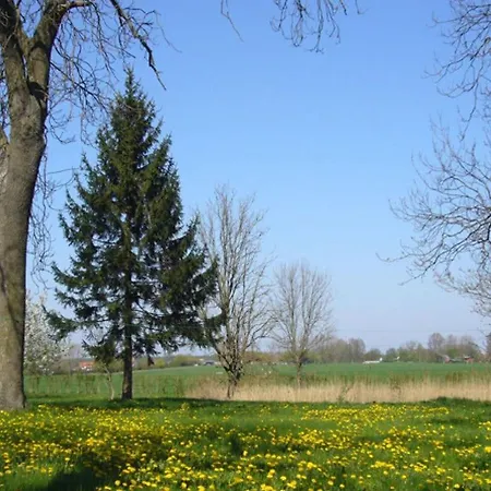 Ruegen Comfortable Dreschvitz